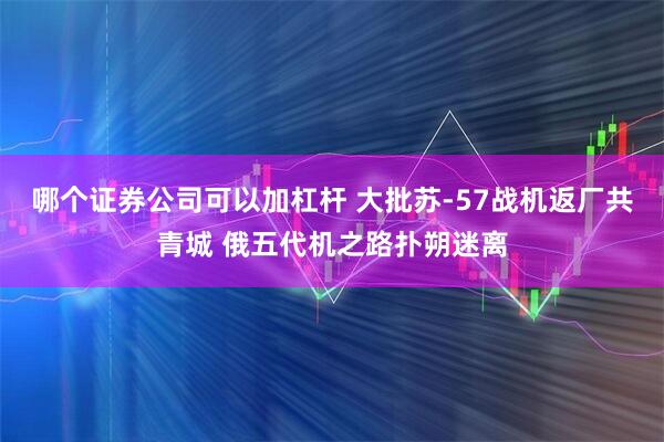 哪个证券公司可以加杠杆 大批苏-57战机返厂共青城 俄五代机之路扑朔迷离