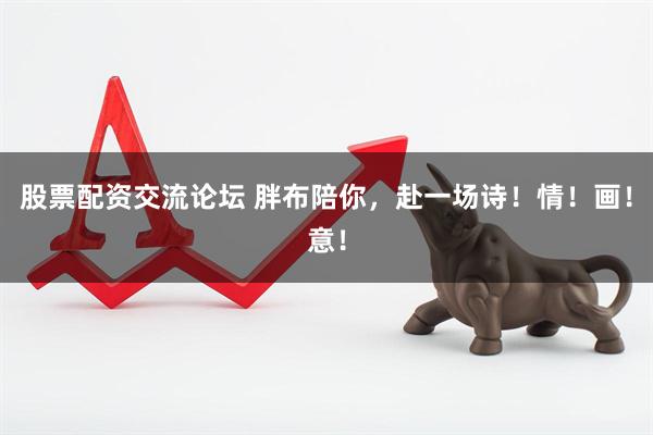 股票配资交流论坛 胖布陪你，赴一场诗！情！画！意！